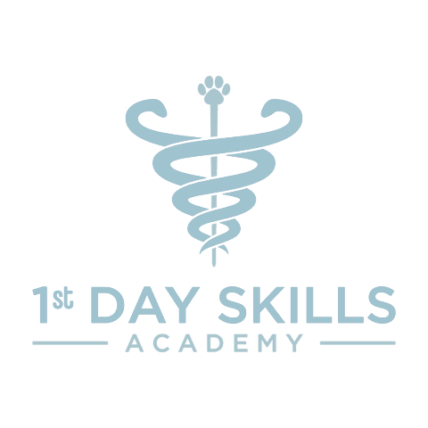 1stdayskillsacademy.com