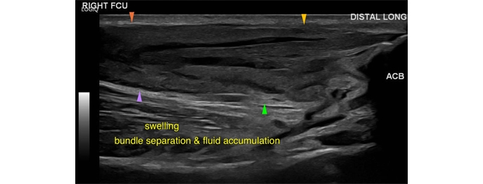 https://www.vetinare.de/media/13/ce/27/1732899956/W318-Orthopaedische-Sonographie-1.jpg